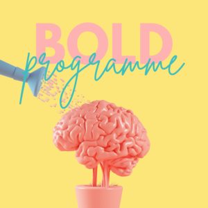 BOLD programme entrepreneurs