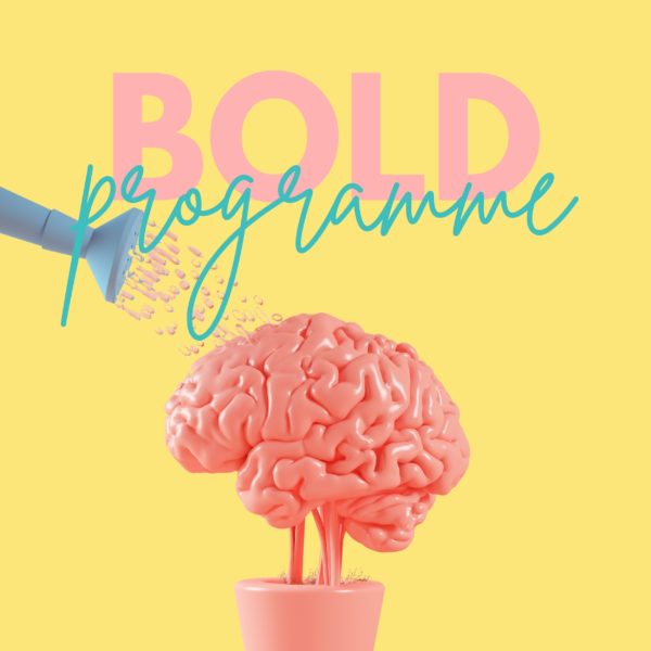BOLD programme entrepreneurs